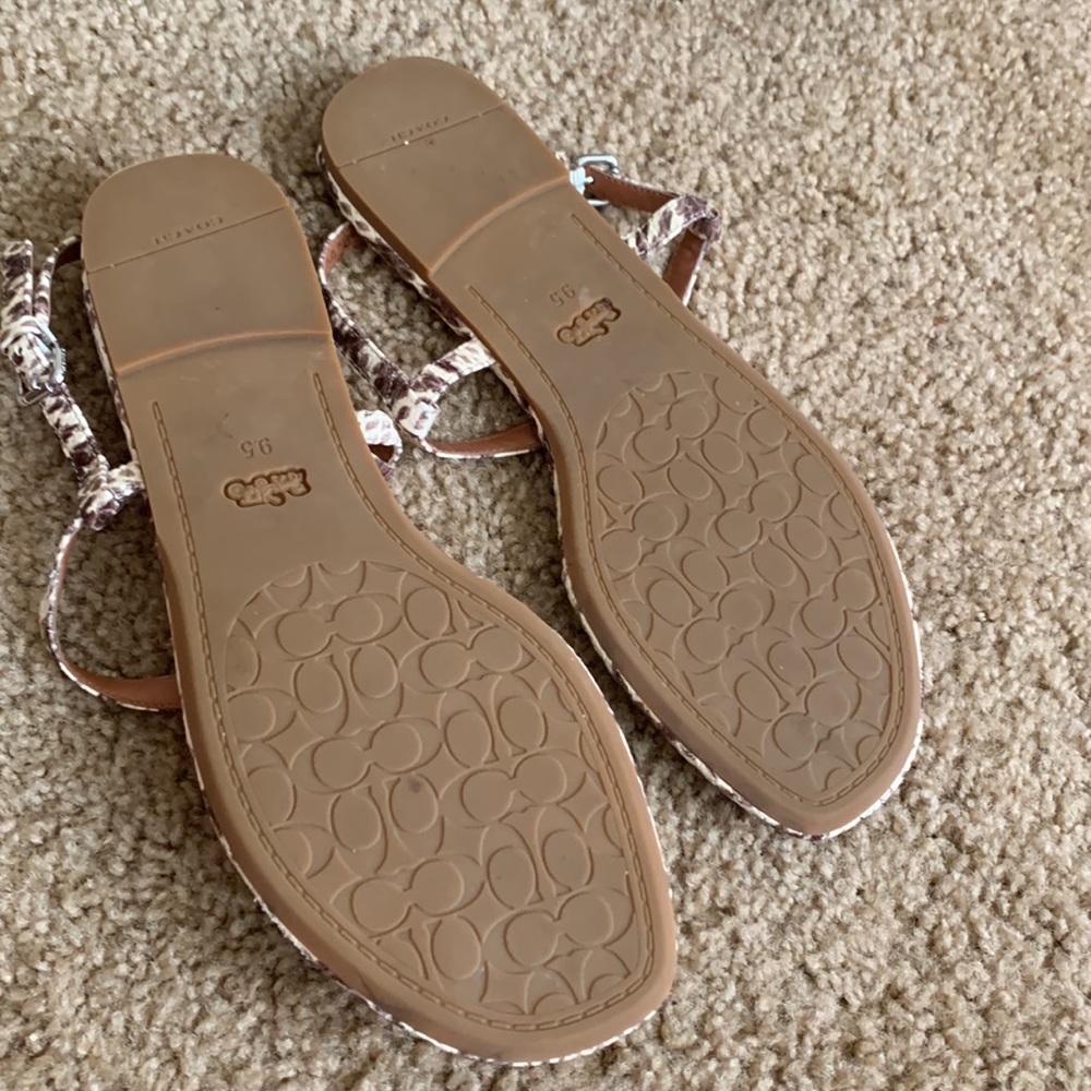 Coach - Picture 6 of 8